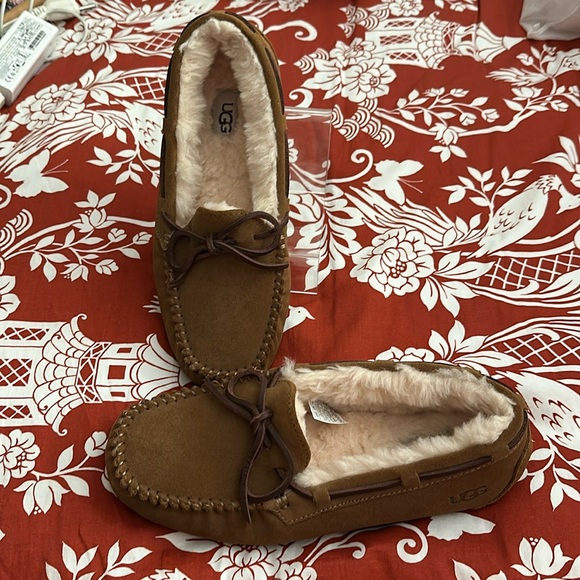 Uggs Dakota tag read 8 but a bit tight imo new with out a box - Picture 1 of 7